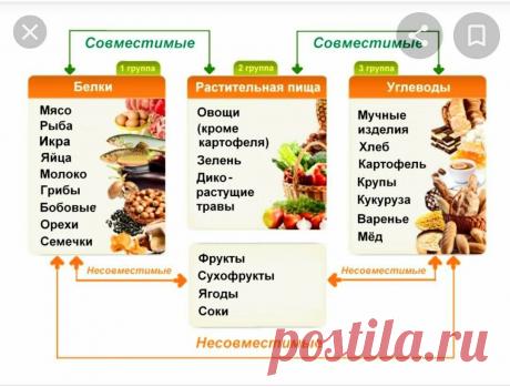 Питаюсь раздельно по таблице Шелтона, добилась результата и расскажу о смысле своего питания | Взгляд из-под очков | Яндекс Дзен
