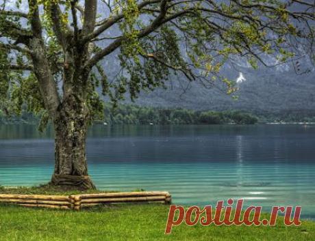 LAKE BOHINJ – the jewel between Slovenian Alps