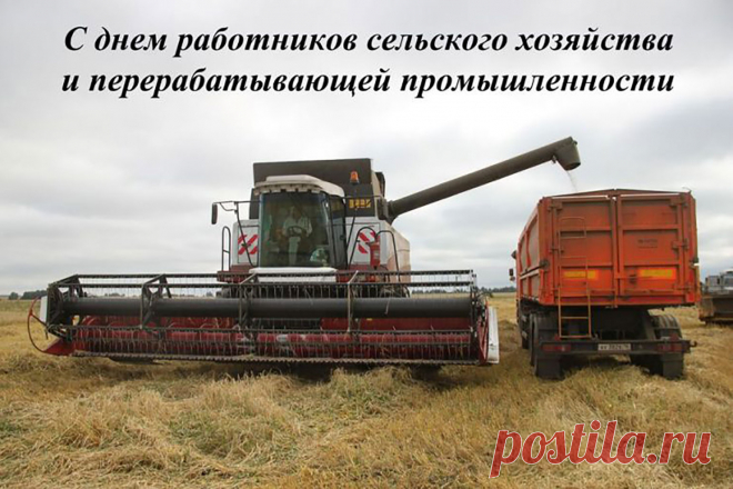 Поздравляем с праздником — День работника сельского хозяйства и перерабатывающей промышленности!