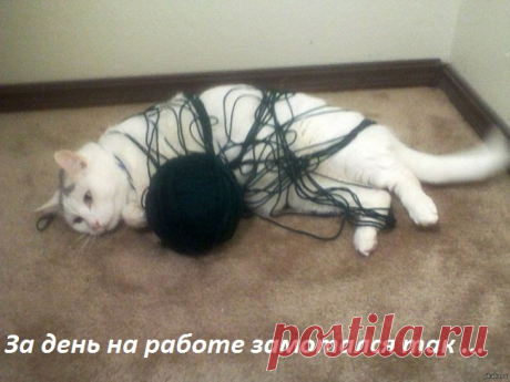 За день замотался...)))