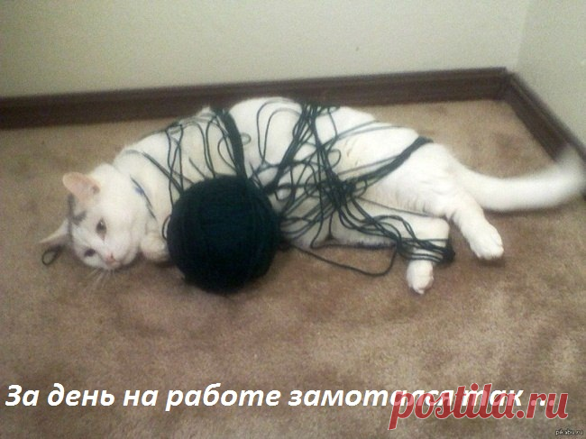 За день замотался...)))