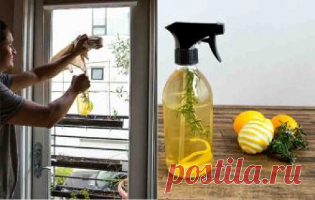 7 применений лимонной корки, о которых вы не догадываетесь!