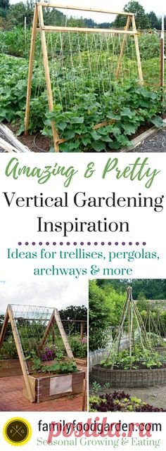 Garden Ideas: Amazing Vertical Gardening Ideas