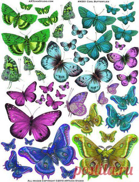 Картинки для творчества | 1 772 фотографии | ВКонтакте