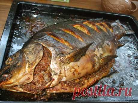 РЕЦЕПТЫ ПРОСТЫХ, ОЧЕНЬ ВКУСНЫХ, ПОЛЕЗНЫХ И ДОСТУПНЫХ БЛЮД ИЗ ГРЕЧКИ!