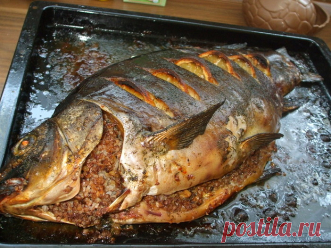 РЕЦЕПТЫ ПРОСТЫХ, ОЧЕНЬ ВКУСНЫХ, ПОЛЕЗНЫХ И ДОСТУПНЫХ БЛЮД ИЗ ГРЕЧКИ!