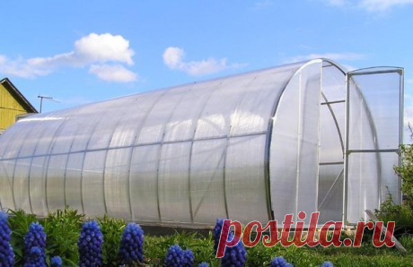 Все о теплицах — 6 соток