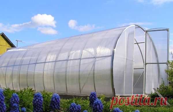 Все о теплицах — 6 соток