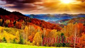 Для души: поэзия октября Поэзия о самом красивом и лирическом времени года