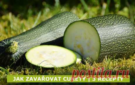 Domácí malinovka, zavařujeme cukety a vaříme z cuket, děláme arašídovou zmrzlinu, řešíme zácpu přírodní cestou, zbavujeme se hmyzu v kuchyni - popikovamaria@gmail.com - Gmail