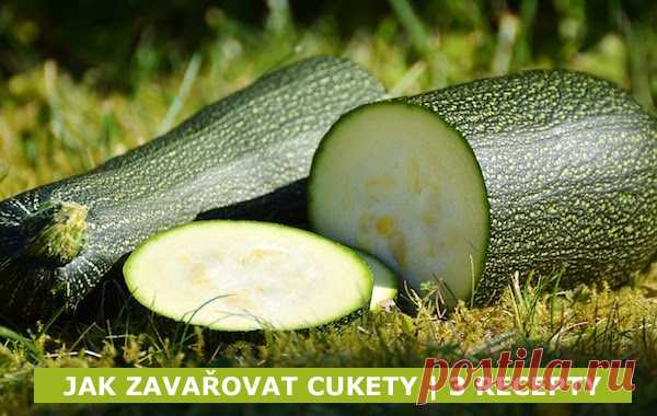 Domácí malinovka, zavařujeme cukety a vaříme z cuket, děláme arašídovou zmrzlinu, řešíme zácpu přírodní cestou, zbavujeme se hmyzu v kuchyni - popikovamaria@gmail.com - Gmail