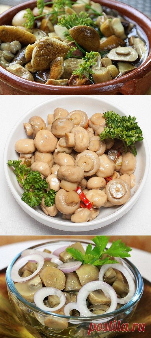 Кто не любит ароматные маринованные грибочки? Лучшие рецепты &#8212; Вкусные рецепты