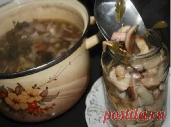 МАРИНАД ДЛЯ ГРИБОВ (Опят, маслят, белых и т. д. )