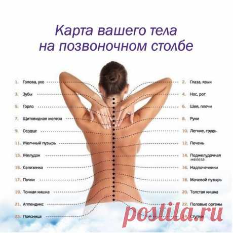 БОЛЬ ОТДЕЛЬНЫХ ПОЗВОНОЧНИКОВ И ЧТО ЭТО ОЗНАЧАЕТ:

Первый шейный позвонок (С 1, атлант): Головные боли, мигрень, ослабление памяти, хроническая усталость, головокружение, артериальная гипертензия, недостаточность мозгового кровообращения.

Второй шейный позвонок (С 2, осевой позвонок) 
Воспалительные и застойные явления в придаточных пазухах носа, боли в области глаз, ослабление слуха, боли в ушах.

Третий шейный позвонок (С З) 
Лицевые невралгии, шум, свист в ушах, угри и ...