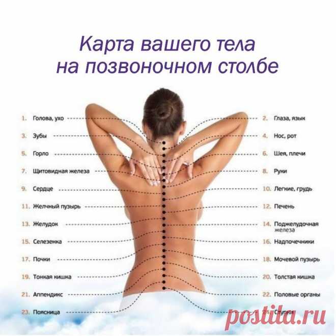 БОЛЬ ОТДЕЛЬНЫХ ПОЗВОНОЧНИКОВ И ЧТО ЭТО ОЗНАЧАЕТ:

Первый шейный позвонок (С 1, атлант): Головные боли, мигрень, ослабление памяти, хроническая усталость, головокружение, артериальная гипертензия, недостаточность мозгового кровообращения.

Второй шейный позвонок (С 2, осевой позвонок) 
Воспалительные и застойные явления в придаточных пазухах носа, боли в области глаз, ослабление слуха, боли в ушах.

Третий шейный позвонок (С З) 
Лицевые невралгии, шум, свист в ушах, угри и ...