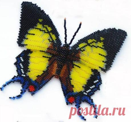 Butterfly Bead 13, scheme | Все о рукоделии: схемы, мастер классы, идеи на сайте labhousehold.com