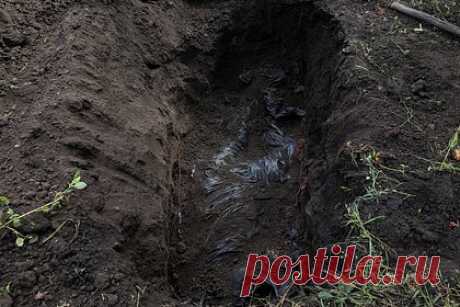 Останки двух тысяч мирных жителей нашли вблизи Северодонецка. Останки двух тысяч мирных жителей за несколько месяцев нашли силовики и эксперты в Северодонецкой агломерации. Об этом сообщила советник главы Луганской народной республики (ЛНР) Анна Сорока. По ее словам, работы по поиску захоронений на территориях, ранее находившихся под контролем Киева, начались в августе.