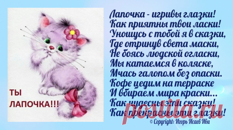 Открытка &quot;Лапочка&quot;