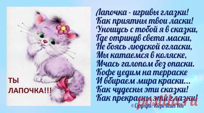 Открытка "Лапочка"