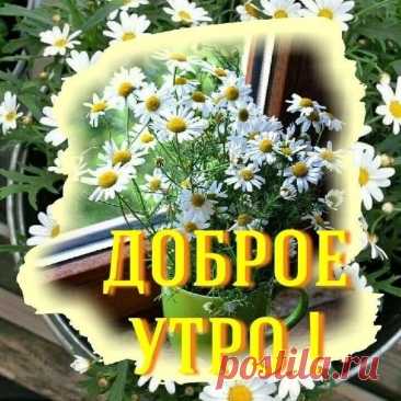 Ошибки. Ирина Расшивалова