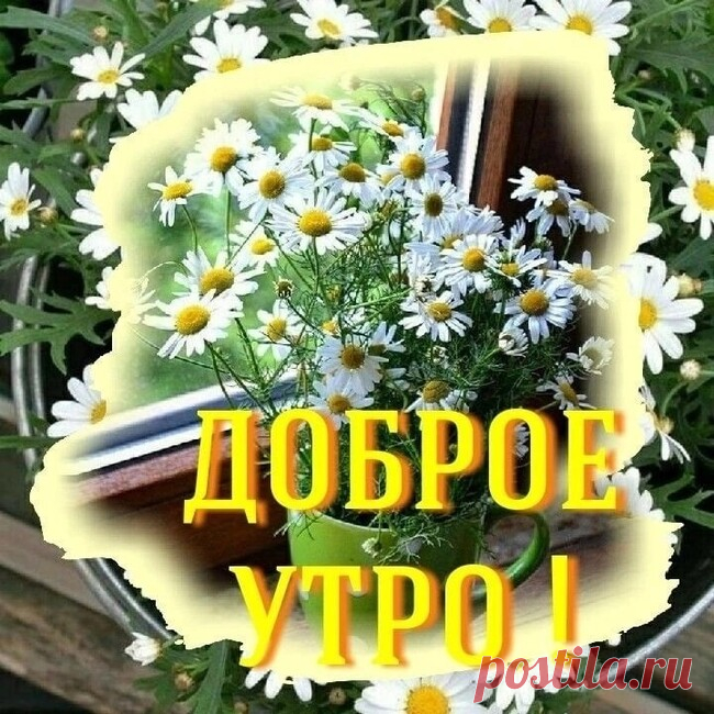 Ошибки. Ирина Расшивалова
