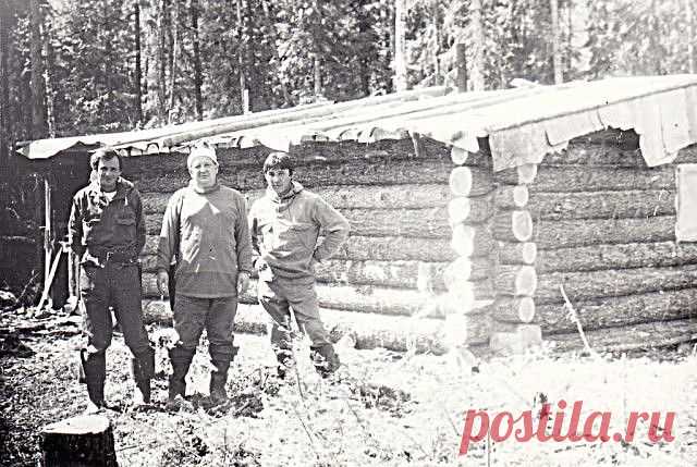 (3) Одноклассники