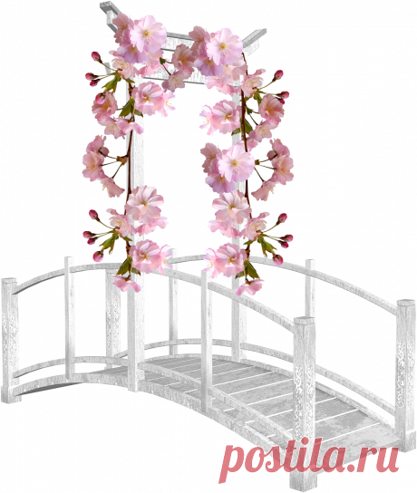 разные красивые детали на прозрачном фоне: 19 тыс изображений найдено в Яндекс.Картинках