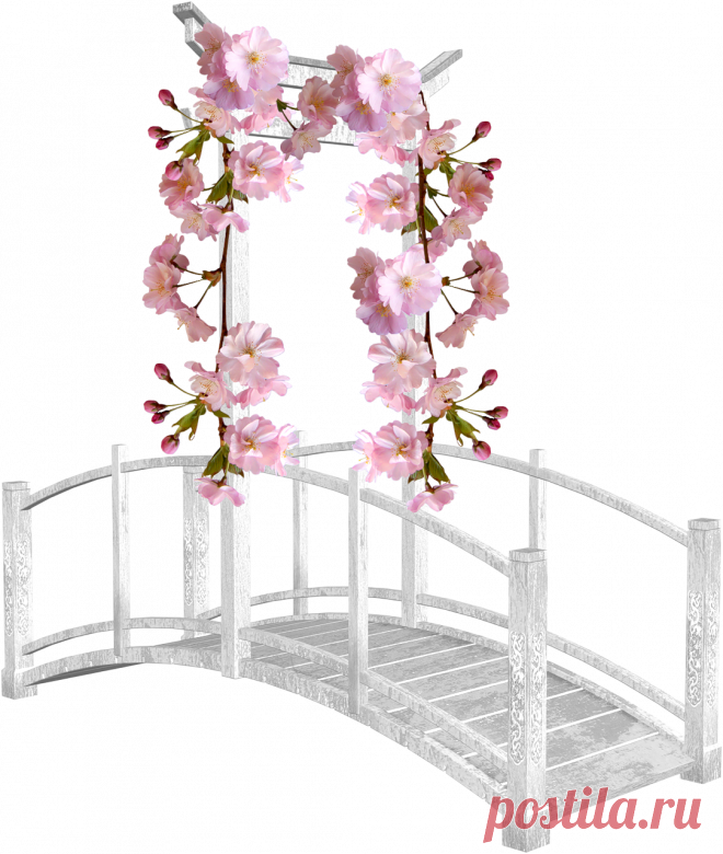 разные красивые детали на прозрачном фоне: 19 тыс изображений найдено в Яндекс.Картинках