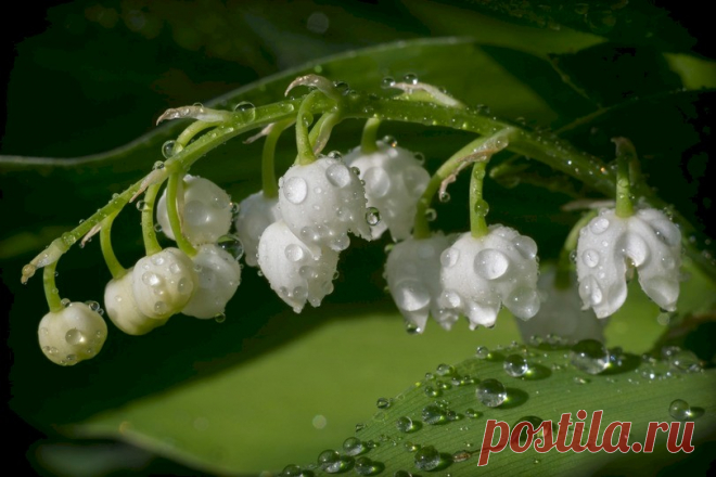 - Вася! Сколько лет, сколько зим! Как ты, где ты? - Да, я фрилансер. - Ай, к чему эти понты. Говори прямо: 
