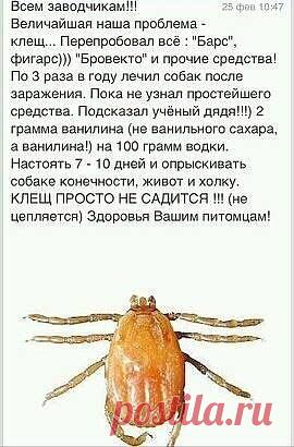 (67) Одноклассники