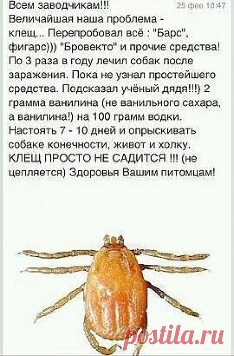 (67) Одноклассники