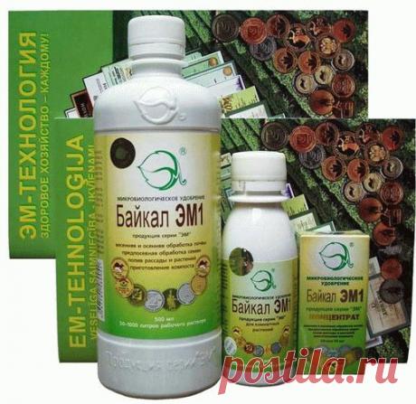 Байкал ЭМ-1- готовим своими руками | Мир Садоводства