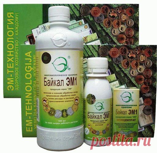 Байкал ЭМ-1- готовим своими руками | Мир Садоводства