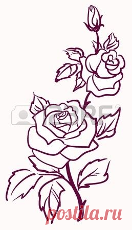 three stylized pale roses isolated on light background, vector illustration Stock Vector - 11661793