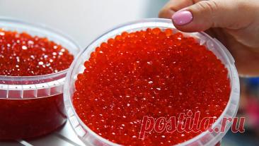 Патрушев заявил, что россиянам хватит красной икры. Дефицита красной икры на Новый год в России не будет, ее в достаточном количестве. Об этом заявил РИА Новости вице-премьер Дмитрий Патрушев. "В достаточном количестве. Я думаю, что не будет здесь проблем", - сказал он, отвечая ...