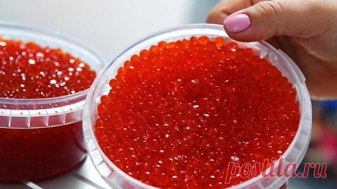 Патрушев заявил, что россиянам хватит красной икры. Дефицита красной икры на Новый год в России не будет, ее в достаточном количестве. Об этом заявил РИА Новости вице-премьер Дмитрий Патрушев. "В достаточном количестве. Я думаю, что не будет здесь проблем", - сказал он, отвечая ...