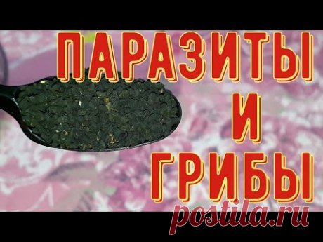 Его БОЯТСЯ и НЕ любят ПАРАЗИТЫ и ГРИБЫ в КИШЕЧНИКЕ