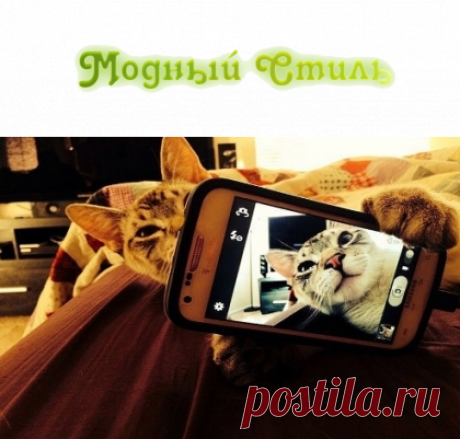 #КакПравильноДелатьСелфи: что советуют специалисты
Как правильно делать селфи – думаю, в наше время этот вопрос интересует многих барышень. Сегодня мода не ограничена исключительно нарядами и их составляющими.