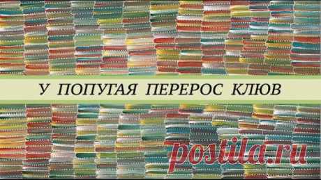 У попугая жако длинный клюв. В чём причина перерастания клюва. Признаки микобактериоза попугаев.