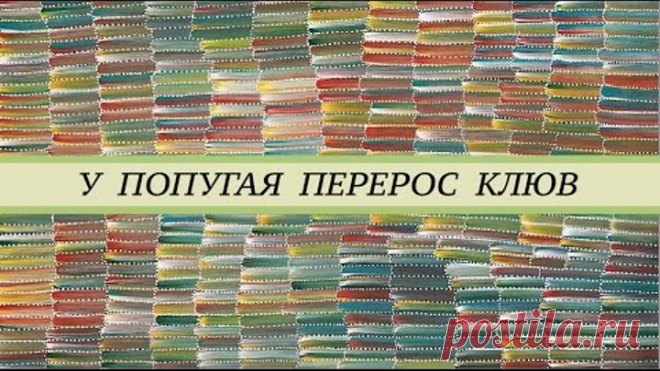 У попугая жако длинный  клюв. В чём причина перерастания клюва. Признаки микобактериоза попугаев.