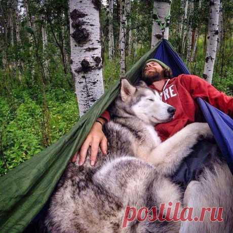 photo by tentree
