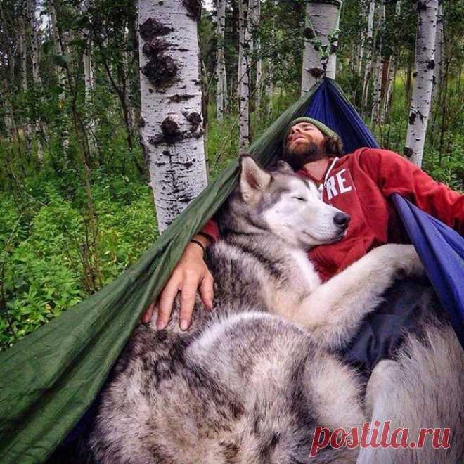 photo by tentree
