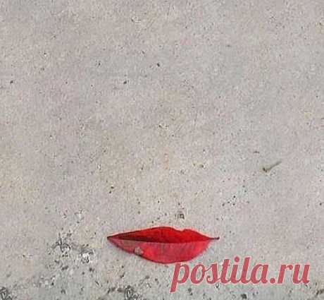 Улыбка осени. Мона Лиза отдыхает...