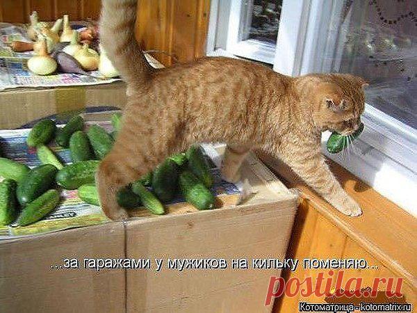 Интересные новости