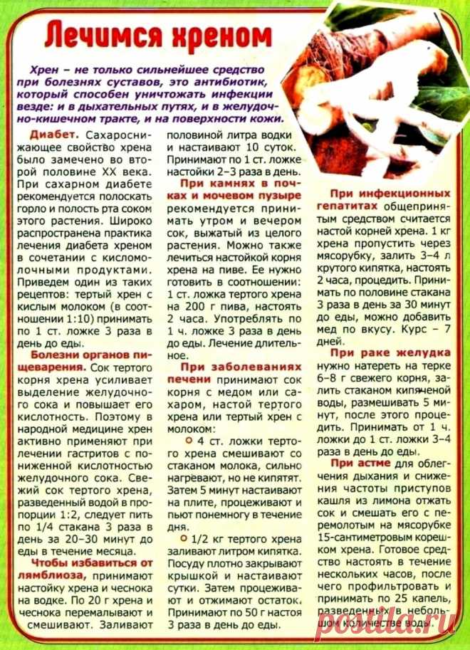 Лечимся хреном