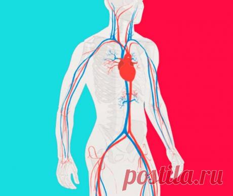 Китайские упражнения для снижения артериального давления Упражнения для повышения жизненного тонуса и работоспособности, усиления иммунитета, оздоровления различных систем организма, увеличения продолжительности жизни.Пекин — одна из самых экологически небл...