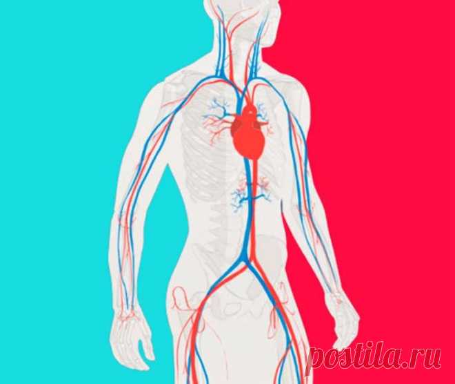 Китайские упражнения для снижения артериального давления Упражнения для повышения жизненного тонуса и работоспособности, усиления иммунитета, оздоровления различных систем организма, увеличения продолжительности жизни.Пекин — одна из самых экологически небл...