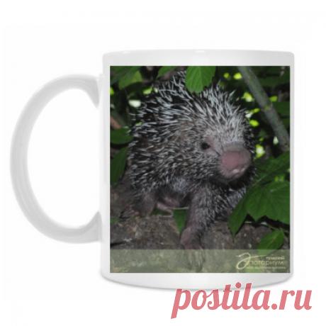 Кружка Кружка белая - Тульский экзотариум, зоопарк