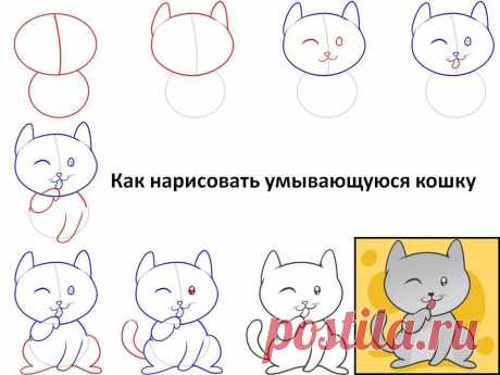 как нарисовать кошку поэтапно карандашом легко и красиво: 25 тыс изображений найдено в Яндекс.Картинках