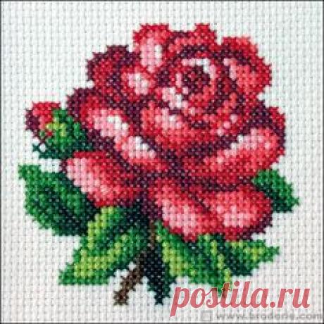 (33) Pinterest • Всемирный каталог идей